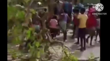 बगहा: झिमरी नौतनवा चौक के पास तेज हवाओं के कारण पांच दुकानों व बोलेरो पर गिरा पेड़, कोई हताहत नहीं