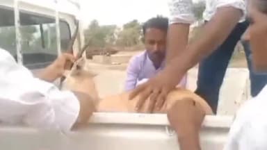 जोधपुर: नागाणा धाम के सामने खेत की तारबंदी में फंसे घायल हिरण की वन्यजीव प्रेमियों ने बचाई जान, बालोतर रेस्क्यू सेंटर भेजा गया