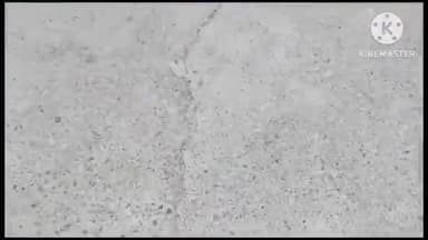 देहरादून: कोतवाली नगर पुलिस ने दो स्कूटी चोरों को चोरी की गई स्कूटी के साथ डोभालवाला से किया गिरफ्तार