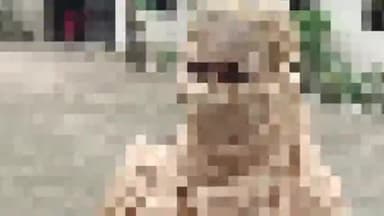 बाघमारा/कतरास: तिलाटांड़ कॉलोनी निवासी आरोपी युवक व घर से फरार लड़की को हैदराबाद से पुलिस ने किया बरामद, लड़की से पूछताछ जारी