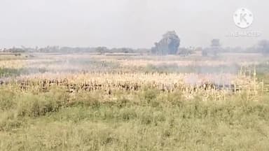 रहुई: शासन की सख्ती के बाद भी रहूई प्रखंड में नहीं थम रहा पराली जलाने का सिलसिला, सख्त कार्रवाई की मांग