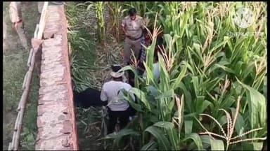 सिरसागंज: नगर के अरांव रोड निवासी युवक का शव खेत में मिलने से फैली सनसनी, पिछले 3 दिनों से घर से लापता था युवक