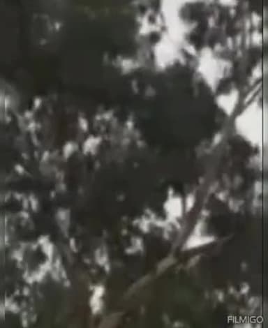 कोटा में बिपरजॉय का असर शनिवार से, यलो अलर्ट जारी 
-तेज बारिश की संभावना, कर्मचारियों की छुट्टी कैंसल