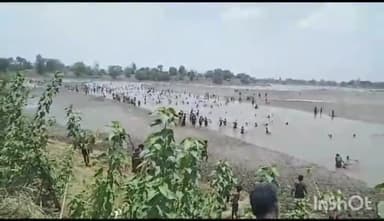 बतौली: घुनघुट्टा नदी पर शासन द्वारा मछली पकड़ने पर रोक लगाए जाने के बाद भी मछली पकड़ रहे लोग