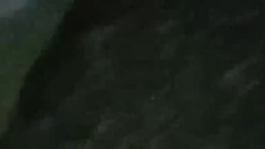 त्योंथर: मझियारी में ट्रेन की चपेट में आने से एक 60 वर्षीय अज्ञात बुजुर्ग की हुई दर्दनाक मौत, सूचना पर पहुंची जनेंह पुलिस