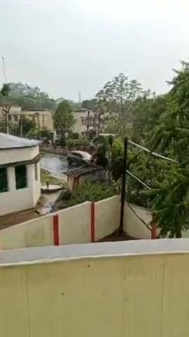 पीरटांड: बारिश से गुलजार हुआ पीरटांड़