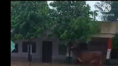 रियां बड़ी: तूफानी बारिश से राजकीय विद्याल पुरोहितासनी के परिसर व कमरों में भरा 3 से 4 फिट पानी