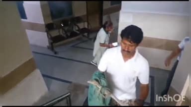 लाडपुरा: दादाबाड़ी चंबल गार्डन के सामने निजी अस्पताल में मिली जंगली छिपकली, कर्मचारी व मरीज हुए भयभीत