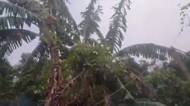 जोगापट्टी: जंगल छोड नौतन के जमुनिया पहुंचा तेंदुआ, देख सहमे जमुनिया वासी बिभाग ने किया रेस्क्यू