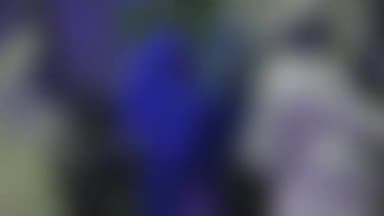 शामली: 3 बेटियों के साथ थाना आदर्श मंडी पहुंची बनत निवासी महिला, पति पर लगाया मारपीट का आरोप