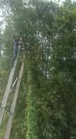 बरहरा: हरीरही फीडर लतराहा में बिजली का तार टूटने से क्षेत्र में बिजली सेवा हुई बाधित