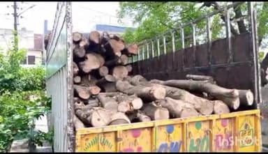 हापुड़: गांव जरोठी मार्ग से वन विभाग की टीम ने चेकिंग के दौरान अवैध रूप से ले जाए जा रहे आम की लकड़ी से भरे ट्रक को पकड़ा