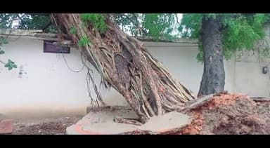 मऊरानीपुर: बुखारा में बरसात के चलते मकान पर टूटकर गिरा बरगद और नीम का पेड़, मकान हुआ क्षतिग्रस्त