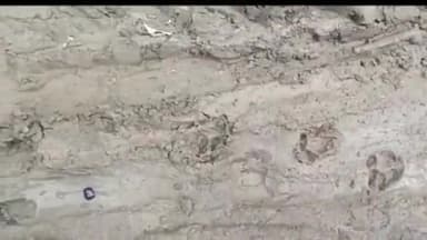 कानपुर: प्रतापपुर पिपरिया गांव में चकरोड पर देखे गए तेंदुए के पंजों के निशान, ग्रामीणों में दहशत, जांच में जुटा वन विभाग