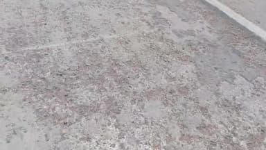 बलरामपुर समाचार सरकार दावा करें कि भ्रष्टाचार पर जीरो टॉलरेंस की नीति लेकिन भ्रष्टाचार का दीमक है कि पीछा ही नहीं छोड़ रहा मामला बलरामपुर गोंडा नवनिर्मित मार्ग का है जहां इस सीसी सड़क को बने हुए अभी कुछ माह बीते हैं और जगह-जगह सड़क पर गड्ढे