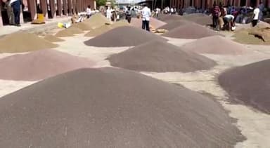 मेड़ता: कृषि उपज मंडी मेड़ता सिटी में जीरे के भाव ने बनाया इतिहास ,₹62350 प्रति क्विंटल में बिका जीरा