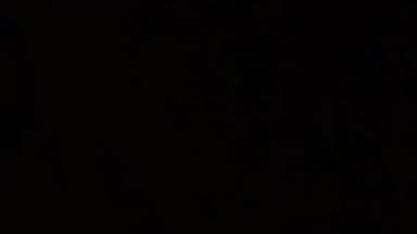 जलालगढ़: हांसी बेगमपुर पंचायत स्थित घर में ₹2,00,000 की हुई चोरी