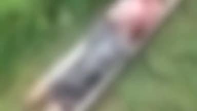 करेली: कठौतिया के समीप रेलवे ट्रैक पर ट्रेन से गिरने के कारण एक युवक की हुई मौत , पुलिस ने शव का किया अंतिम संस्कार