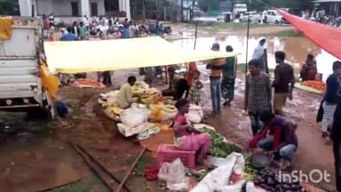 बतौली: बतौली क्षेत्र में मंडी स्थलों का विकास ना होने से बरसात में होती है परेशानी