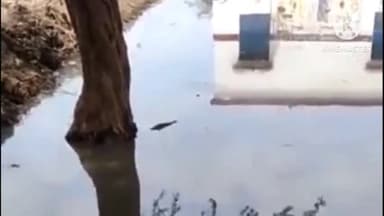 मौदहा: परछा में स्थित पूर्व प्राथमिक विद्यालय परिसर में भरा पहली बारिश का पानी, वीडियो हो रहा वायरल