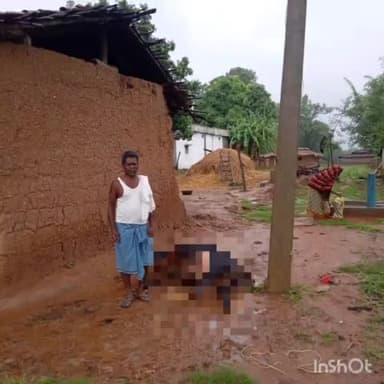 बतौली: क्षेत्र के लगरू में करंट लगने से बैल की हुई मौत, प्रभावित ने मुआवजे की रखी मांग