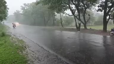 रायसेन: 1 से 26 जून तक जिले में 72 मिलीमीटर औसत वर्षा दर्ज, बीते 24 घंटे में हुई 22.3 मिलीमीटर औसत वर्षा: अधीक्षक भू अभिलेख