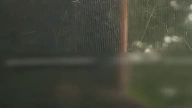 करेरा,सीहोर थाना क्षेत्र में बड़ेरी की माता के पास सिंध नदी में चरवाहे को मगरमच्छ ने निगला,मचा हड़कंप