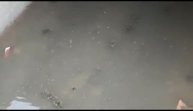 जलेसर: तहसील प्रांगण में नवनिर्मित नाले में जलभराव व गंदगी को लेकर बार एसोसिएशन के अध्यक्ष ने अधिशासी अधिकारी को दिया ज्ञापन