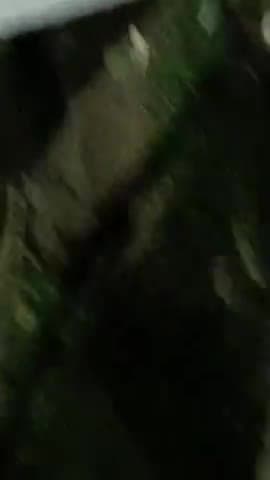 बलरामपुर समाचार कांशी राम आवास निकट माया होटल मैं मनोज नाम के ड्राइवर पर जानलेवा हमला शेखर पुर निवासी मनसूर व उनके परिवारी जन पर लगा हमले का आरोप बताते चलें कि कांसी राम आवास में अवैध रूप से रहने वाली बिहारी नाम की महिला का अक्सर विवादों से