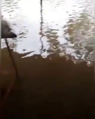 साईं खेड़ा: तेज़ बारिश होने के बाद जनपद पंचायत कार्यालय साईं खेड़ा के आसपास भरा पानी, जल निकासी की व्यवस्था नहीं है ठीक