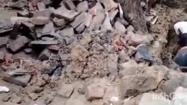 पलवल: वन विभाग पलवल ने जवाहर नगर कैम्प निवासी एक व्यक्ति को बिना अनुमति के पेड़ काटने पर नोटिस किया जारी