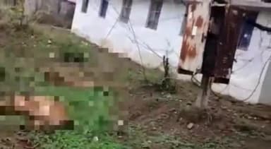 हटा: बड़ी मोहरई गांव में बिजली के करंट की चपेट में आने से दो मवेशियों की हुई मौत, बिजली विभाग के अमले को दी गई सूचना