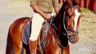 हरिद्वार: वैरागी कैंप स्थित घुड़सवार पुलिस लाईन में तैनात घोड़ी ' सोनी की मृत्यु, एसएसपी समेत आलाधिकारियों ने दी श्रद्धांजलि'