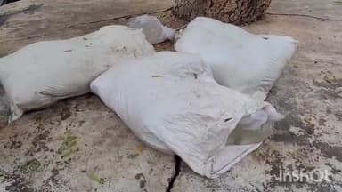 धनरुआ: उसमानचक मुशहरी से पुलिस ने गुप्त सूचना पर 36 लीटर देसी शराब के साथ 6 शराब तस्करों को किया गिरफ्तार