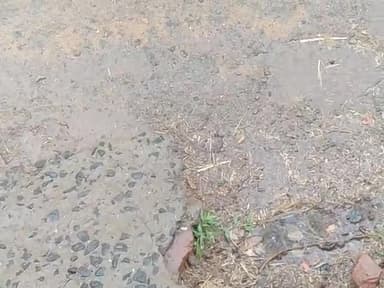 #Patna के #बिक्रम सहित विभिन्न क्षेत्रों में हुआ झमाझम बारिश, लोगों को मिला गर्मी से राहत, किसान भी हुए खुश #bihar #news