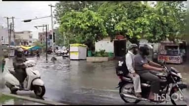 पलवल: पलवल में 2 दिन हुई बरसात के कारण आधा दर्जन कॉलोनी हुईं जलमग्न, प्रशासन की खुली पोल