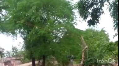 जगदलपुर: कुंगारपाल-मुंगापदर मार्ग में बिजली पोल को बिना हटाये बनाया गया सड़क,दुर्घटना की बनी है आशंका