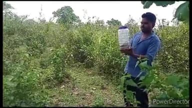 जगदलपुर: चिंगपाल लेम्प्स से बीआरओ रेस्क्यू की टीम ने सांप को पकड़कर सुरक्षित जंगल में छोड़ा