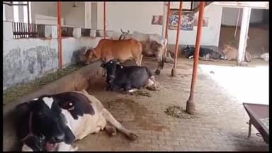 जगाधरी: हरियाणा गोवंश गौशाला सेवा संघ की बैठक का आयोजन जगाधरी गौशाला में हुआ, प्रदेश अध्यक्ष जगदीश मलिक ने ली बैठक