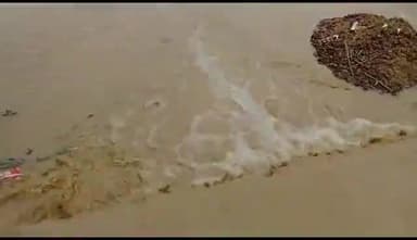 यूपी बलरामपुर में तेज बारिश होने से पहाड़ी नाले में उफान आने से दो सौ मीटर हेगहा पहाड़ी नाले का गाइड बांध कटा।आधा दर्जन