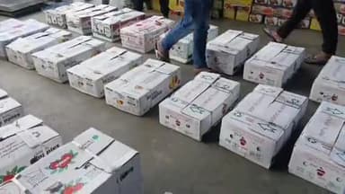 शिमला ग्रामीण: नई व्यवस्था से परेशान आढ़ती व बागवानों ने ढली में सरकार से यूनिवर्सल कार्टन लागू करने का किया आग्रह