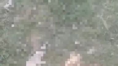 त्योंथर: जनेंह थाना क्षेत्र से लापता वृद्ध की पनवार के डोडो में मिली शरीर की हड्डियां, जांच में जुटी पुलिस