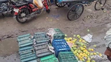 मसौढ़ी: मसौढ़ी नगर मुख्यालय में बदमाशों ने एक फल विक्रेता को पीटकर फल कीचड़ में फेंका