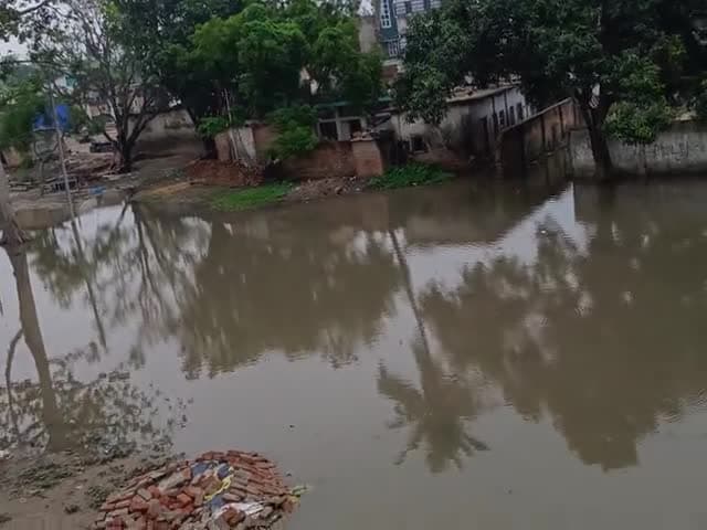 सिमरी बख्तियारपुर: सिमरी बख्तियारपुर प्रखंड के पहाड़पुर गांव नया टोला वार्ड नंबर 4 का है ये हाल !
#simribakhtiyarpur #paharpur #saharsa