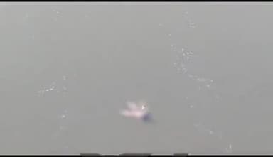 इटावा: सदर इलाके में यमुना नदी में तैरता मिला शव, लोगों की सूचना पर पहुंची पुलिस जांच पड़ताल में जुटी