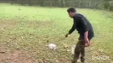 सिवनी: सिवनी शहर से रेस्क्यू किए गए कोबरा सर्पों को स्वच्छंद वातावरण में किया गया मुक्त