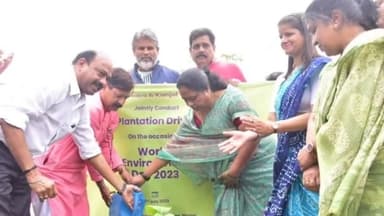 हुज़ूर: वार्ड 58 में स्वर्ण जयंती पार्क जनता क्वार्टर के पास महापौर मालती राय ने किया पौधारोपण