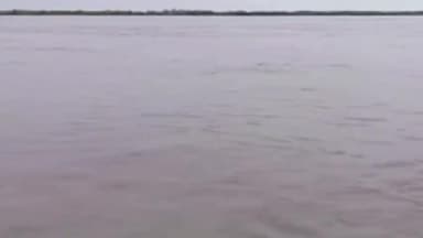 जोगापट्टी: योगापट्टी के सिसवा मंगलपुर गांव में बढ़ने लगा नदी का जलस्तर, सताने लगी लोगों को बाढ की चिंता