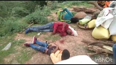 बुहारा टेकरी माता मंदिर के पास सड़क पर आए सांप को बचाने के चलते पलटी ट्रैक्टर में लगी ट्रॉली, 12 से अधिक लोग घायल