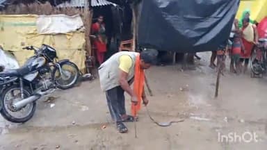 गोंडा: कोचवा मे भारी बारिश के मद्देनजर निकले विषैले सर्प को ग्रामीणो की सूचना पर वन विभाग के कर्मियों ने पकड़ कर जंगल में छोड़ा
